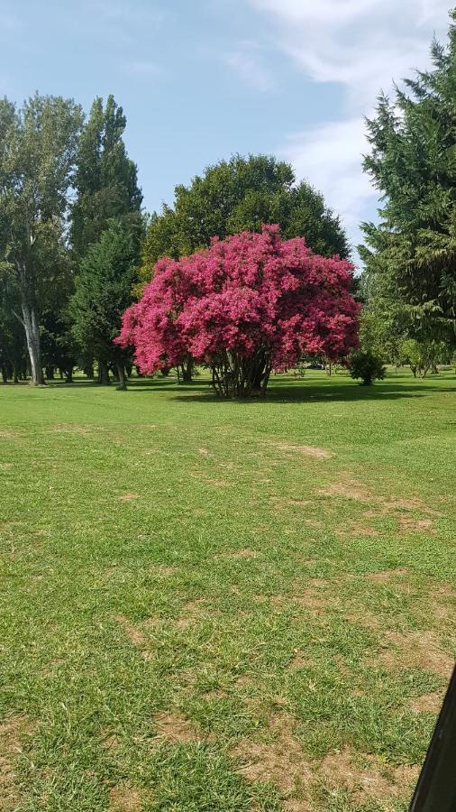 B&B Golf Club Le Vigne Villafranca di Verona Exterior photo